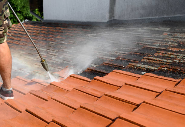 Best Pressure Washing Brick  in Chebanse, IL