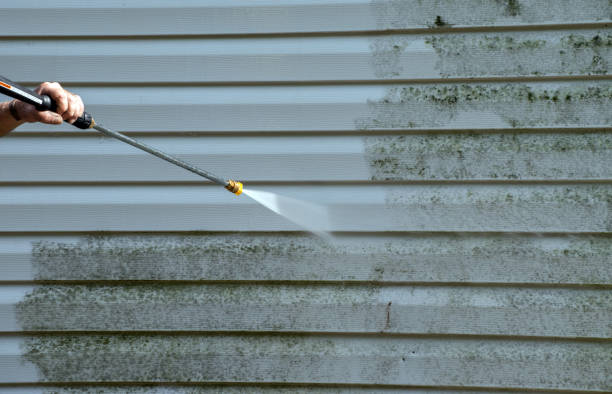 Best House Pressure Washing  in Chebanse, IL