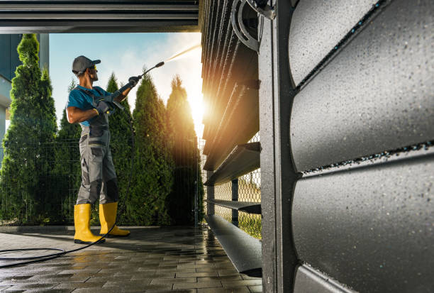 Best Exterior Home Cleaning  in Chebanse, IL