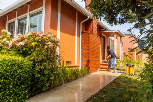Best Affordable Power Washing  in Chebanse, IL