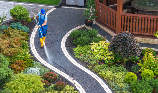 Best Concrete Pressure Washing  in Chebanse, IL